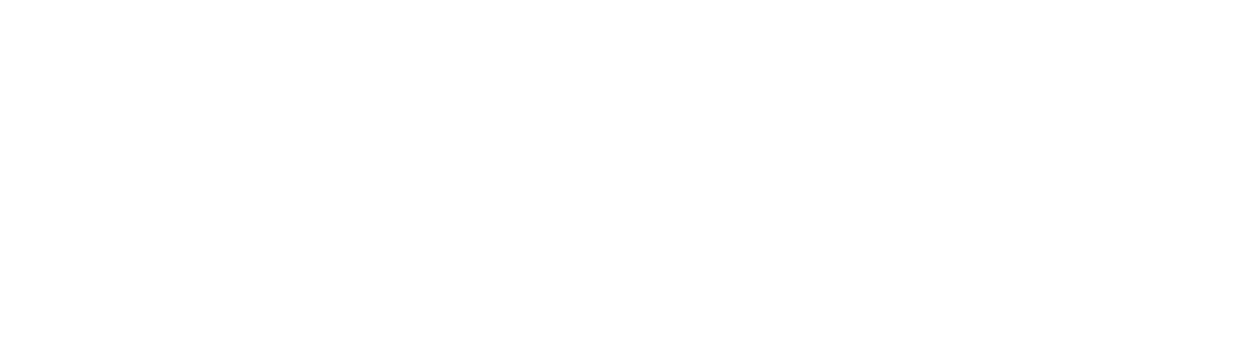 logo light