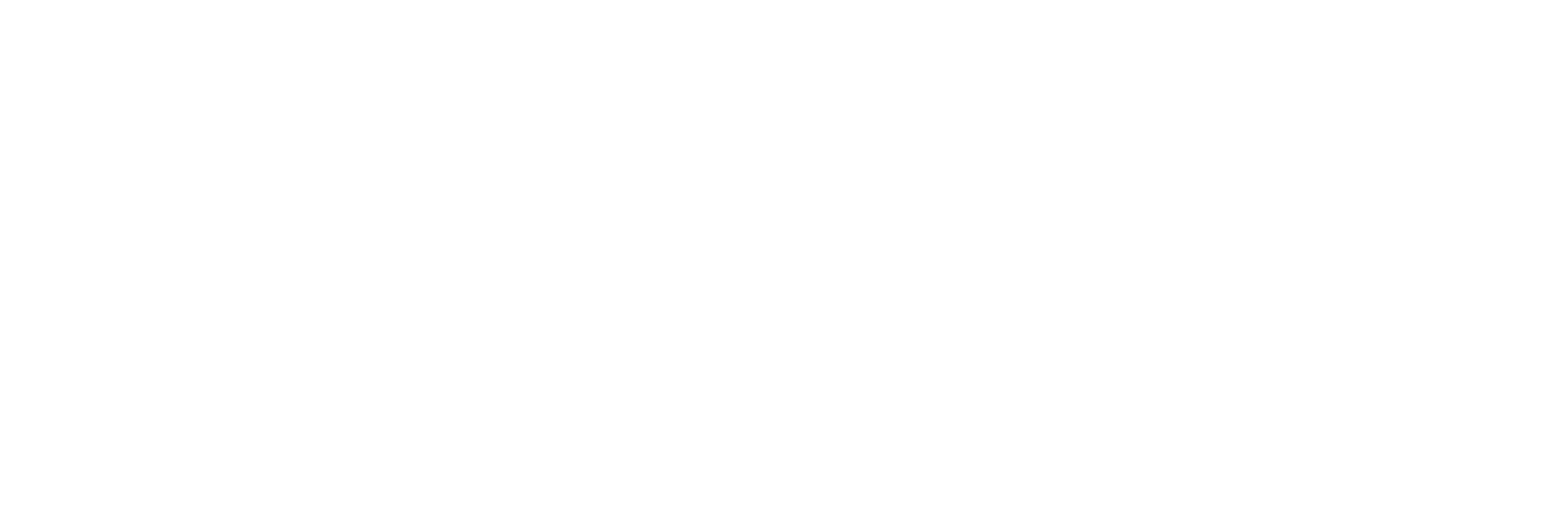 logo light